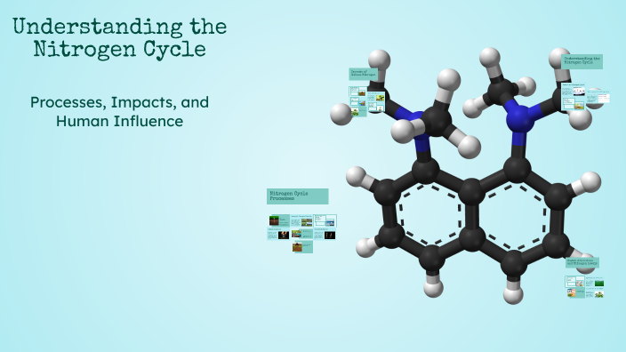 Understanding the Nitrogen Cycle by Giancarlo Torres on Prezi