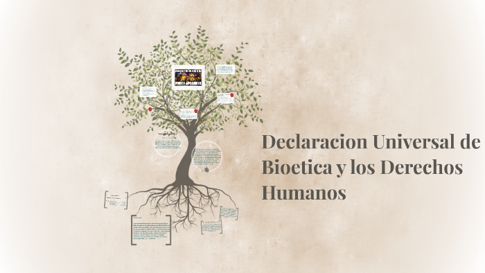 Declaracion Universal de Bioetica y los Derechos Humanos by ester