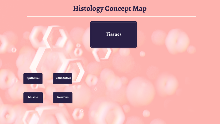 Shaekiyas Histology Concept Map By Shaekiya Mesidor On Prezi 1142