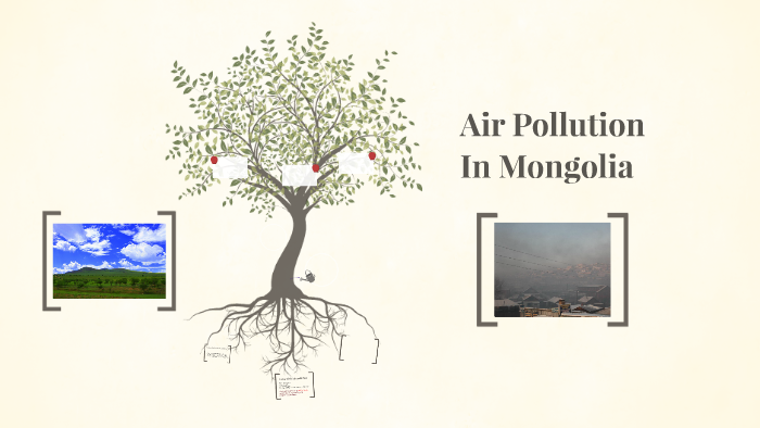 environmental problems in mongolia essay