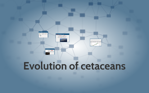 Evolution of cetaceans by Jon Ryan on Prezi