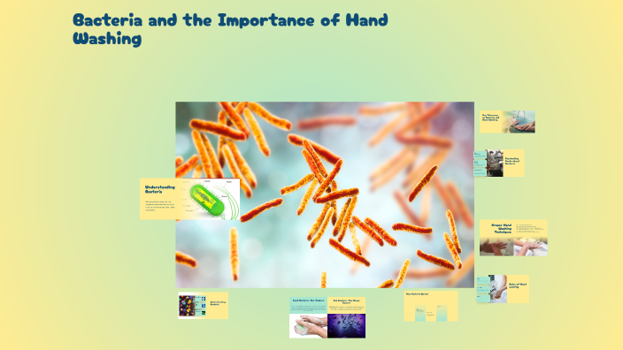 Bacteria and the Importance of Hand Washing by Nóra Nagy on Prezi