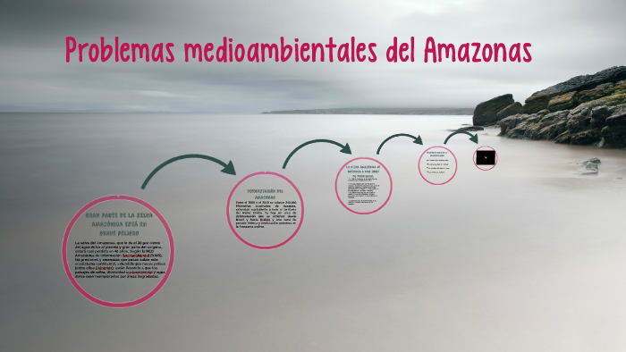 problemas medioambeintales del Amazonas by salud maria cañete garcia on ...