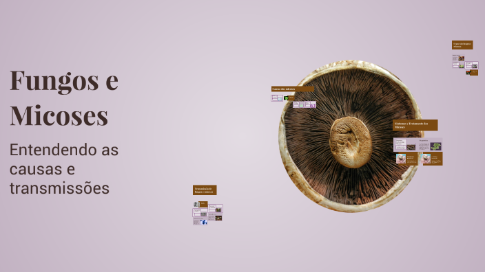 Fungos e Micoses by Amanda Moreira on Prezi