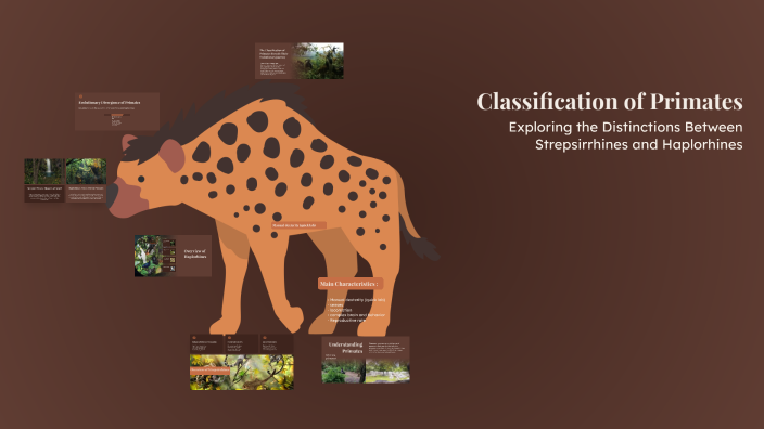 Classification of Primates by Dr. Moshera Sowar on Prezi