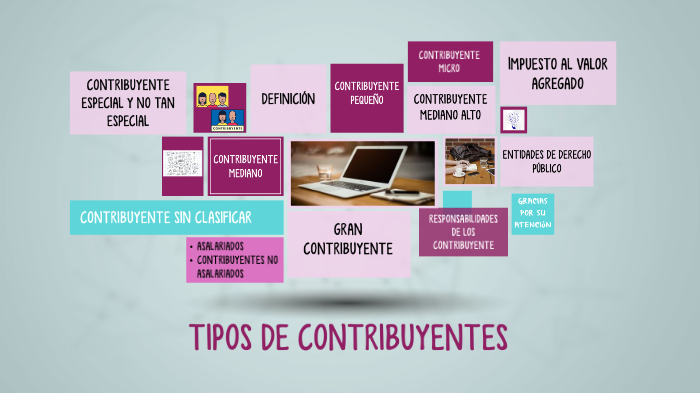 TIPOS DE CONTRIBUYENTES By Mayra Alejandra Bonnett Wiswell On Prezi