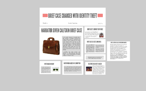 invisible man briefcase essay