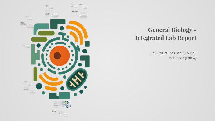 Premier Integrated Lab Report General Biology - Integrated Lab Report by Sadik Ahmed on Prezi
