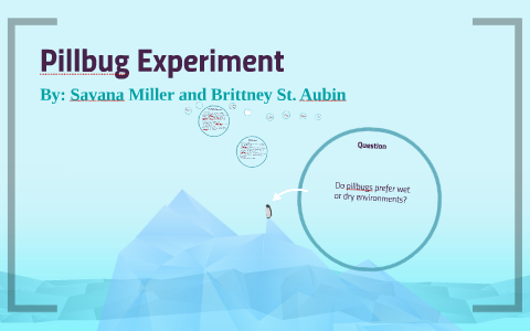 pillbug experiment