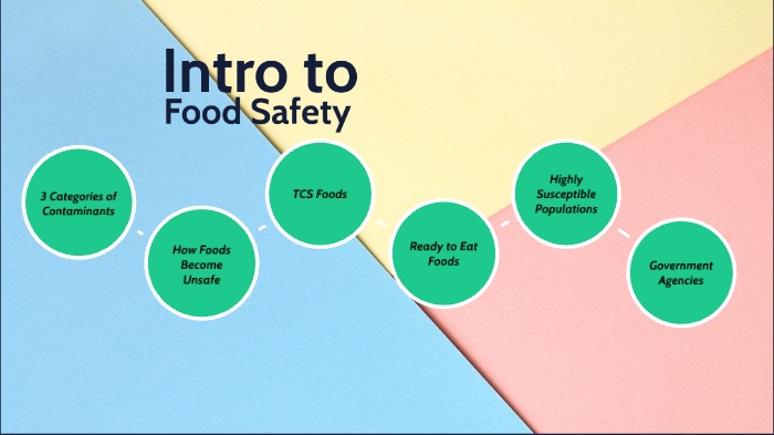 introduction for food safety essay