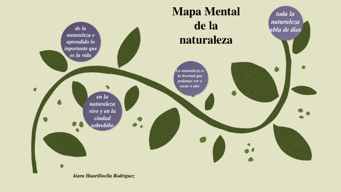 Mapa Mental De La Naturaleza By Kiara Valentina Huarilloclla Rodríguez On Prezi 0422