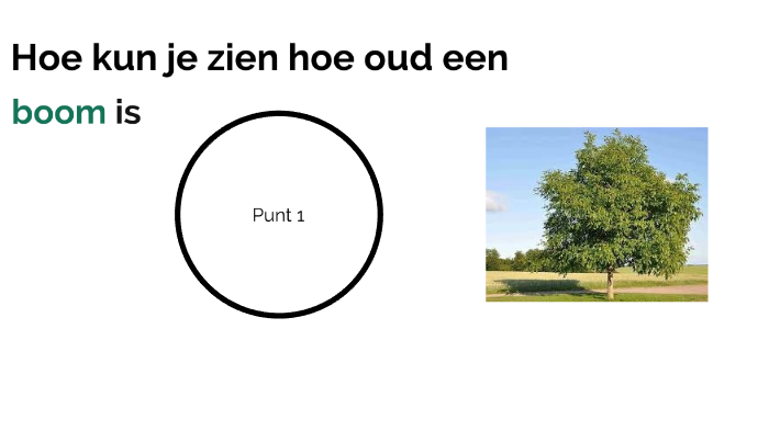 hoe kun je zien hoe oud een boom is? by Luna Collier on Prezi