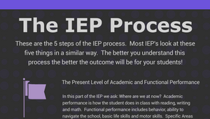 The IEP process by Alexander Nerad on Prezi Design