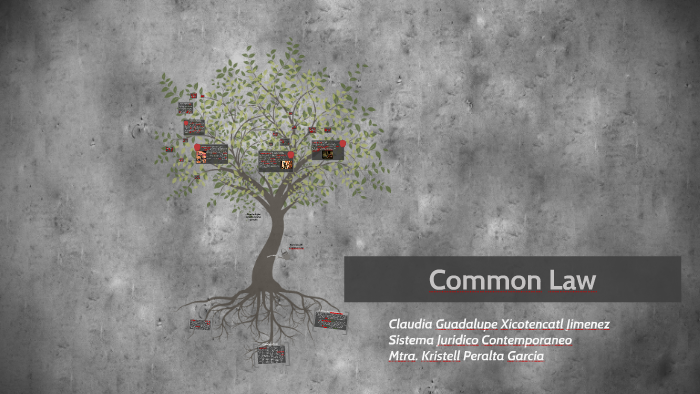 Common Law By On Prezi 1871