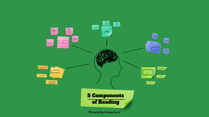 5 Components of Reading by Amanda Sesco on Prezi