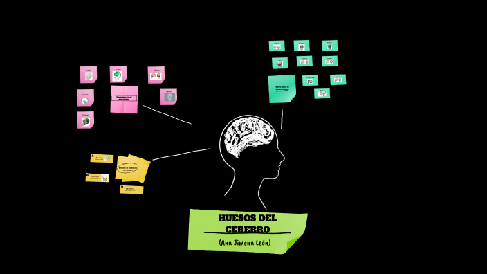 Huesos del cerebro by Ana Jimena León on Prezi