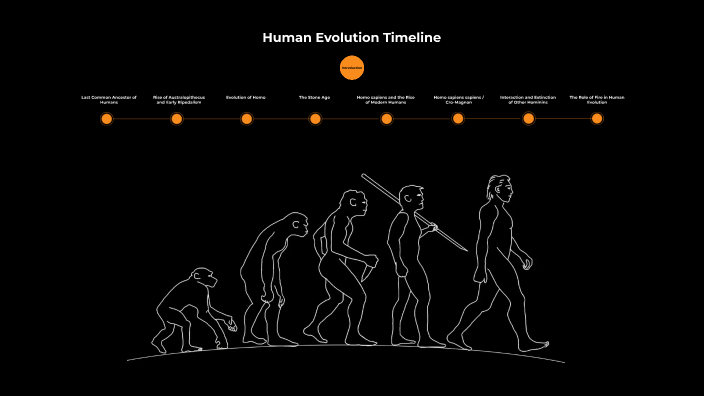 Human eVOLUTION TIMELINE by Hansika Jalendra Shetty on Prezi