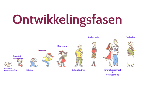 Ontwikkelingsfasen By Jana Holvoet On Prezi