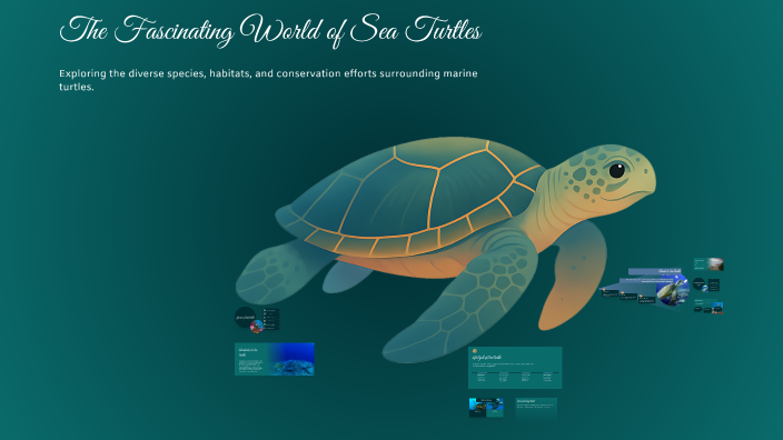 The Fascinating World of Sea Turtles by Aaliyah Vasquez on Prezi