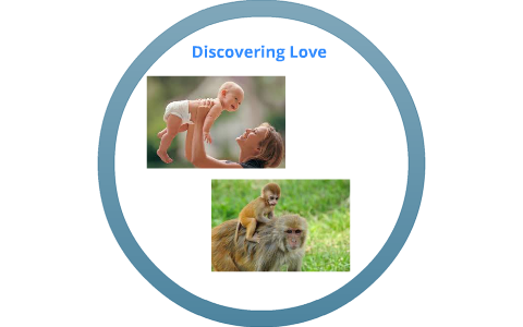 Discovering Love By Elise Webster On Prezi