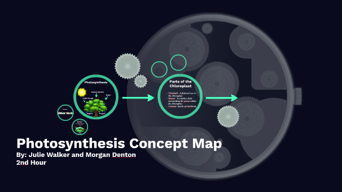 Photosynthesis Concept Map by julie walker on Prezi