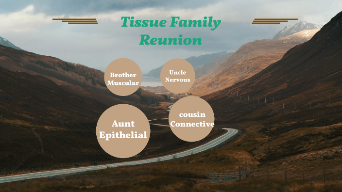 tissue family reunion essay example