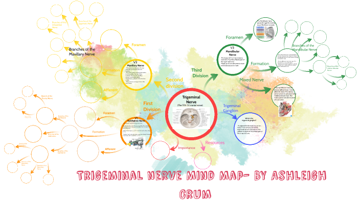 Mind Map by on Prezi