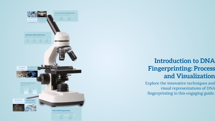 Introduction to DNA Fingerprinting: Process and Visualization by aastha ...