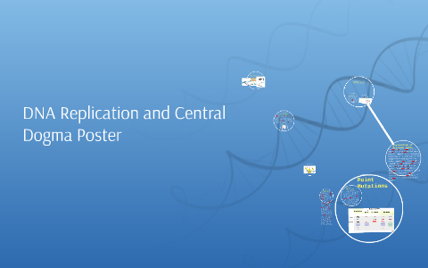 DNA Replication and Central Dogma Poster by Michael Smith on Prezi