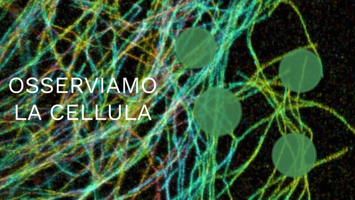 LA CELLULA by It’s Adriana on Prezi