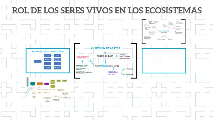 ROL DE LOS SERES VIVOS EN LOS ECOSISTEMAS by Maria Jose Castañeda on Prezi