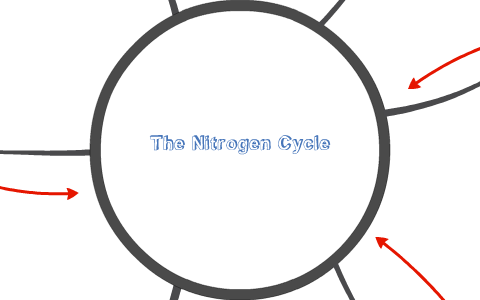 The Nitrogen Cycle by Jami Jensen on Prezi