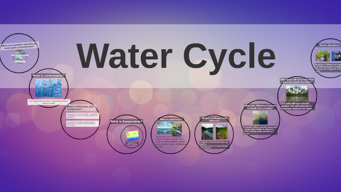 Water Cycle by Madison Wren on Prezi