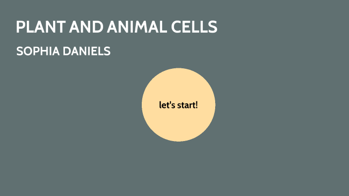 Plant and Animal Cells by Sophia Daniels on Prezi