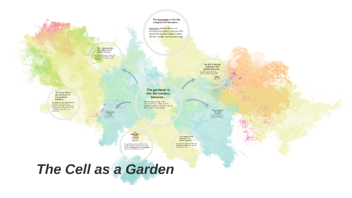 The Cell As A Garden By Francesca T