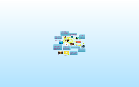 Steller Sea Lion Food Web by Sophie Whitton on Prezi