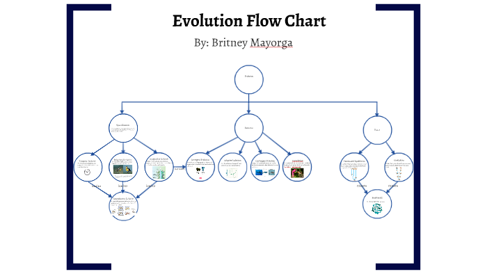 Evolution Flow Chart by Britney Mayorga on Prezi