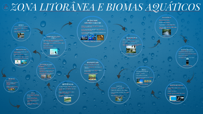 ZONA LITORÂNEA E BIOMAS AQUÁTICOS by Renato Kenji Aoyama on Prezi