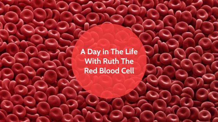 The Journey of Ruth The Red Blood Cell by Callina Hatfield on Prezi
