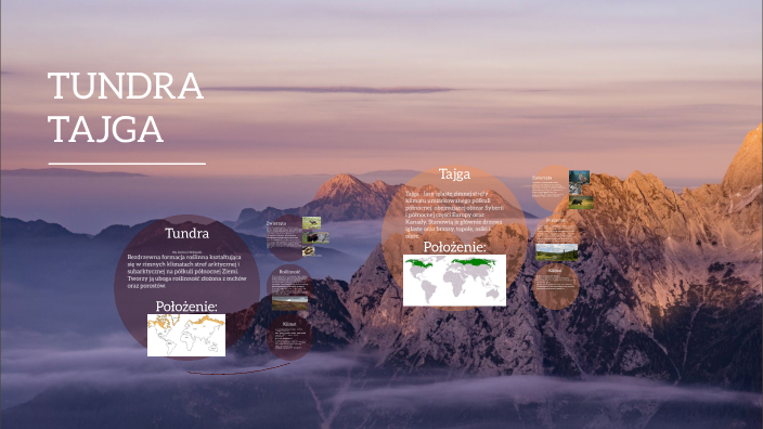 Tundra, Tajga, Lasy strefy umiarkowanej by Hubert Muszyński on Prezi
