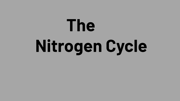 Understanding the Nitrogen Cycle by jenna dechamplian on Prezi