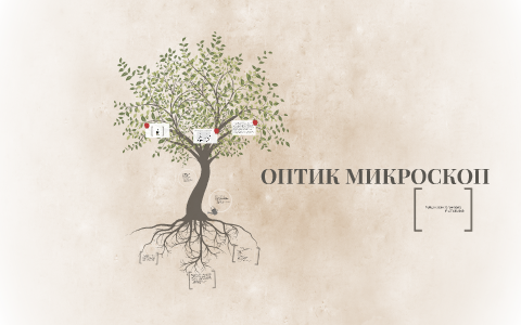 Optik Mikroskop By Zaya Zaya