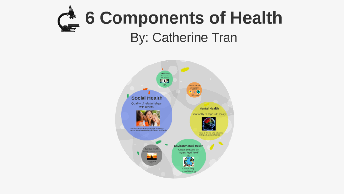 6-components-of-health-by-catherine-t-on-prezi