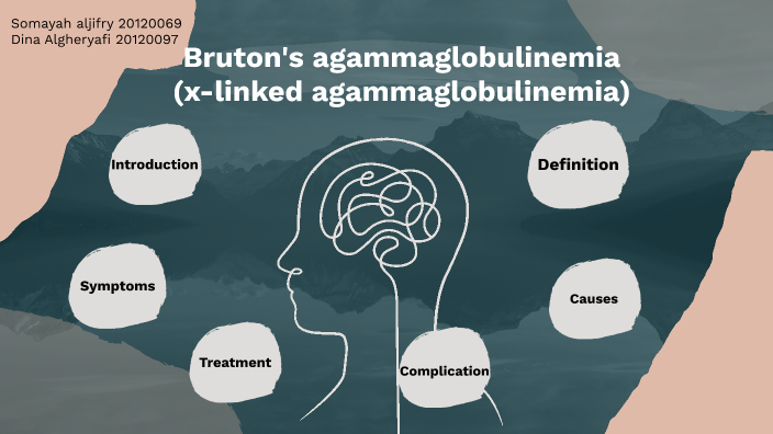x linked agammaglobulinemia by Dina M on Prezi