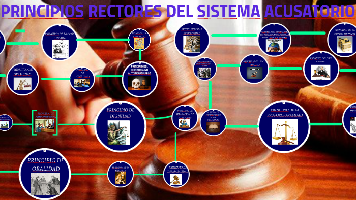 Principios Rectores Del Sistema Acusatorio By Ezequiel Gonzalez 1198