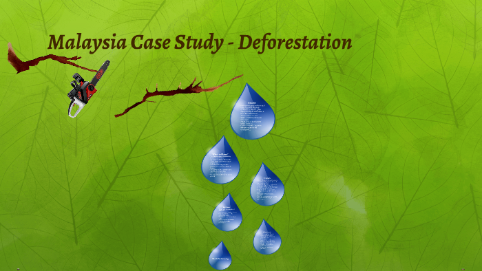 deforestation malaysia case study
