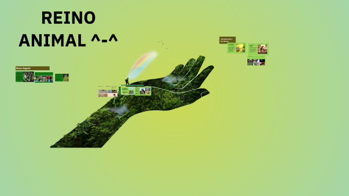Reinos de la Naturaleza by Andrea Nicolalde Hernández on Prezi
