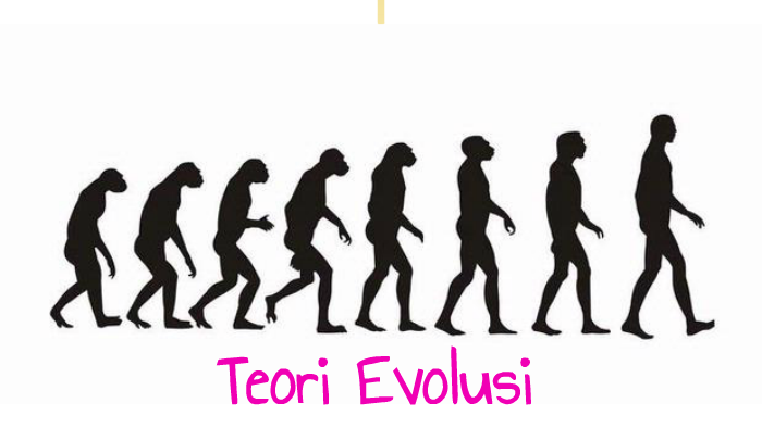 Teori Evolusi By Dea A F On Prezi