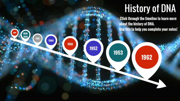 History of DNA by Jen Dunn on Prezi