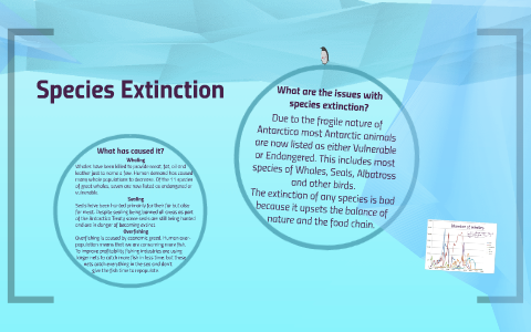 Environmental Issues in Antarctica by Tamara Cooke on Prezi